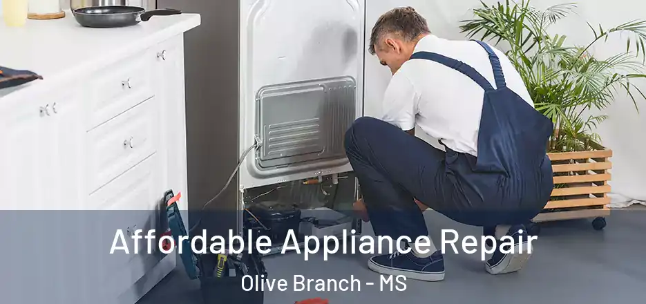  Affordable Appliance Repair Olive Branch - MS