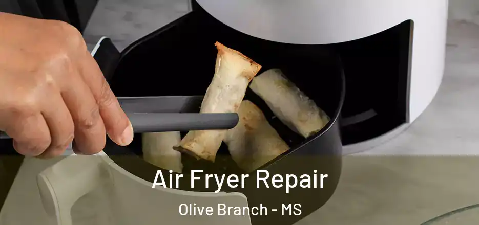 Air Fryer Repair Olive Branch - MS