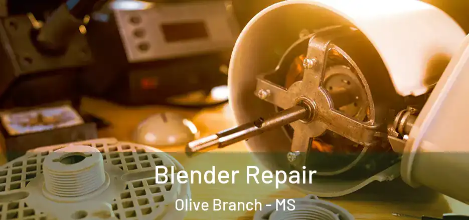 Blender Repair Olive Branch - MS