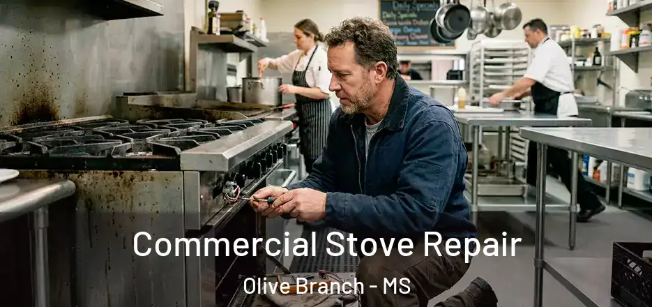 Commercial Stove Repair Olive Branch - MS