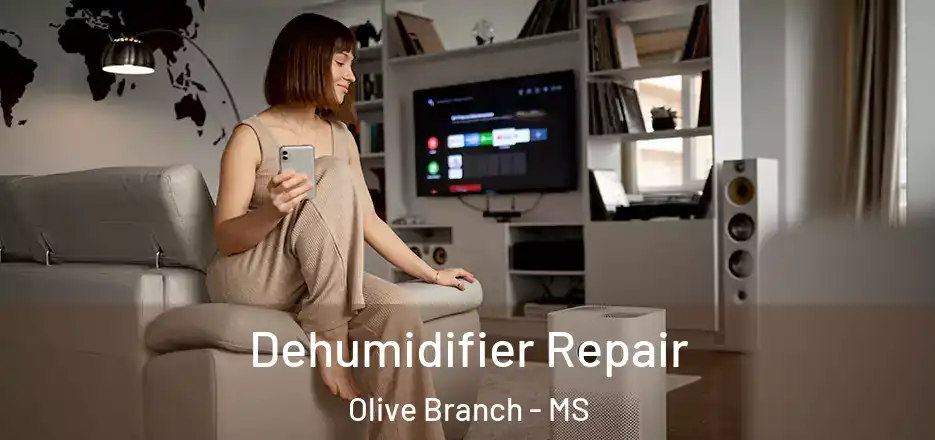 Dehumidifier Repair Olive Branch - MS