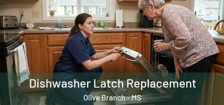 Dishwasher Latch Replacement Olive Branch - MS