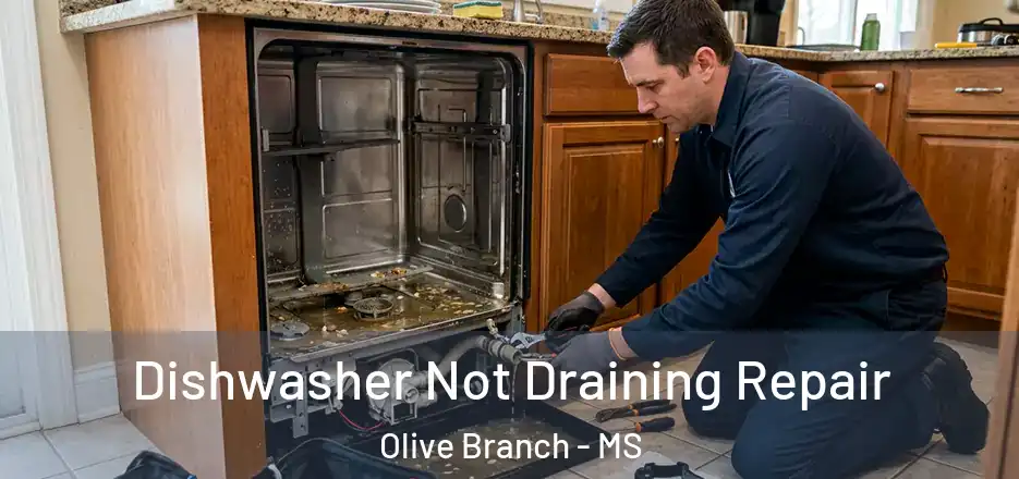  Dishwasher Not Draining Repair Olive Branch - MS