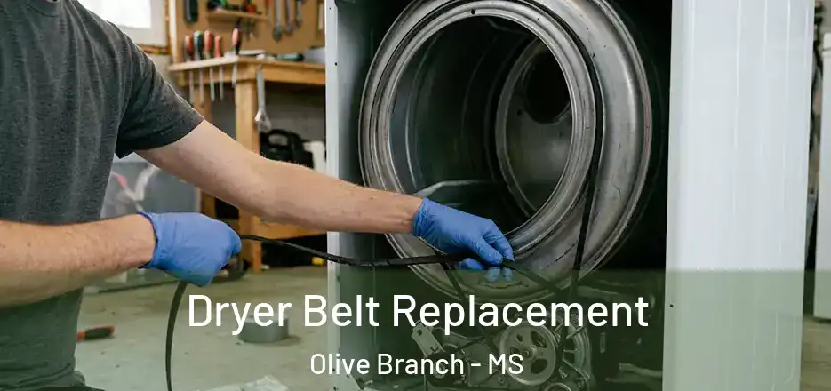  Dryer Belt Replacement Olive Branch - MS