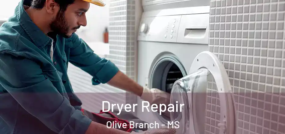Dryer Repair Olive Branch - MS
