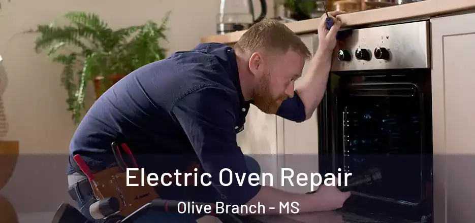 Electric Oven Repair Olive Branch - MS