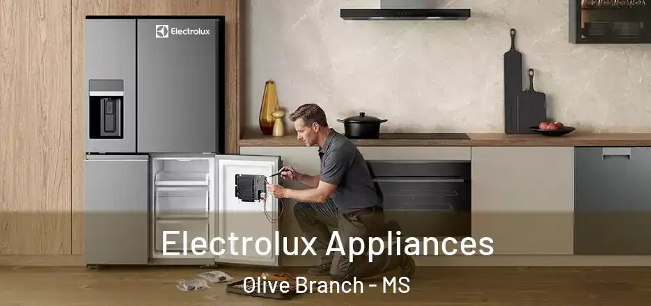  Electrolux Appliances Olive Branch - MS