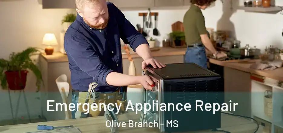  Emergency Appliance Repair Olive Branch - MS