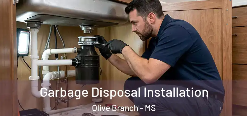 Garbage Disposal Installation Olive Branch - MS