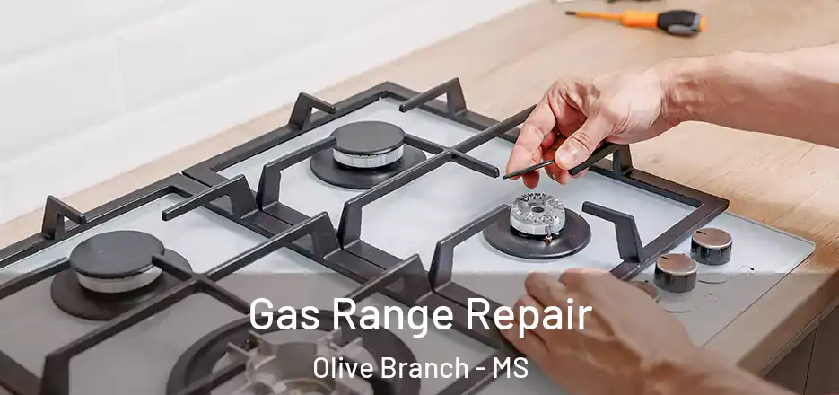 Gas Range Repair Olive Branch - MS