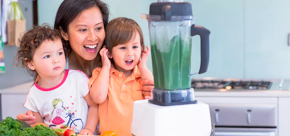 Juicer and Mixer Blender Repair in Olive Branch