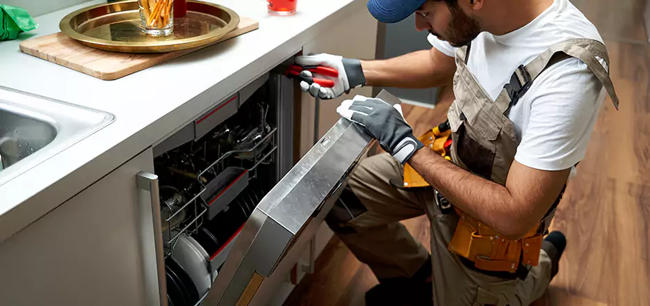 Same Day Dishwasher Not Draining Repair in Olive Branch