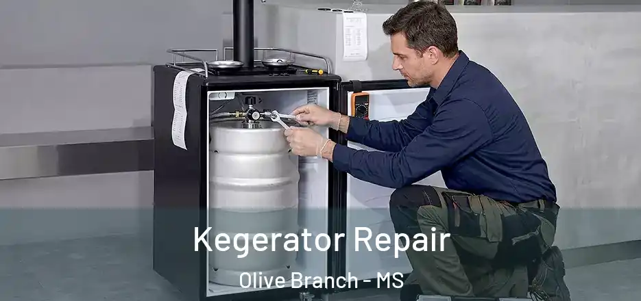 Kegerator Repair Olive Branch - MS