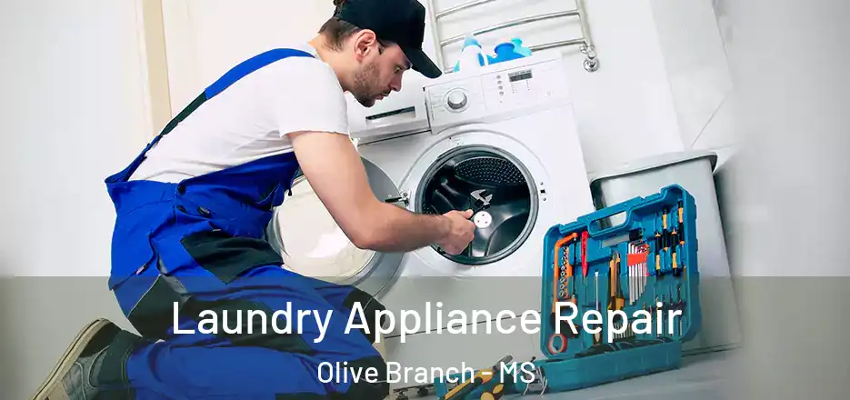  Laundry Appliance Repair Olive Branch - MS