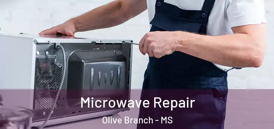  Microwave Repair Olive Branch - MS