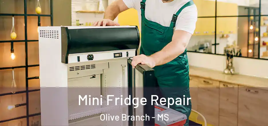 Mini Fridge Repair Olive Branch - MS