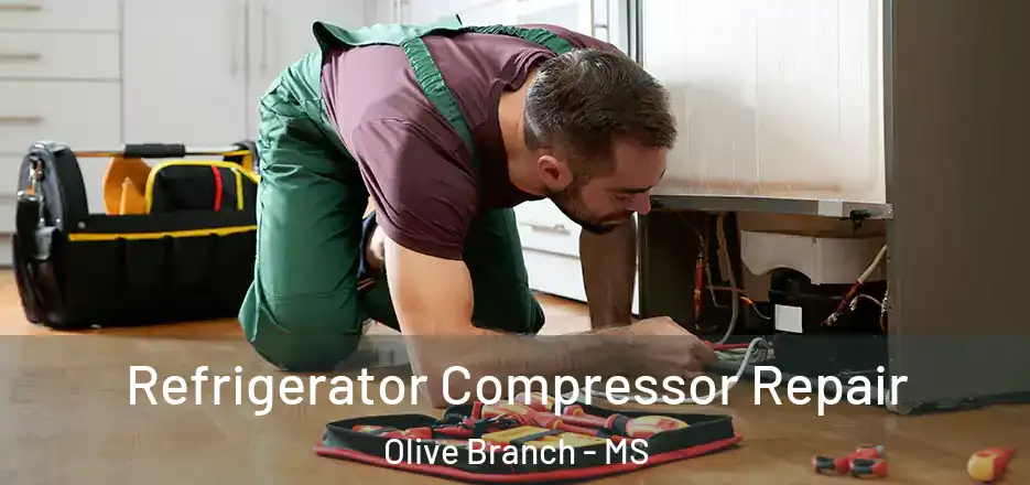  Refrigerator Compressor Repair Olive Branch - MS