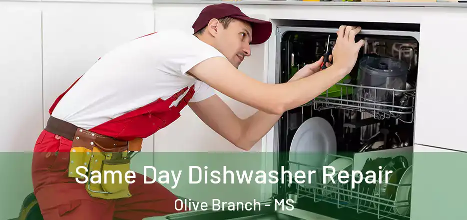 Same Day Dishwasher Repair Olive Branch - MS