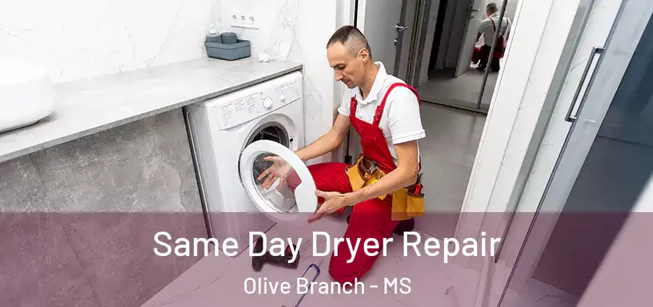 Same Day Dryer Repair Olive Branch - MS