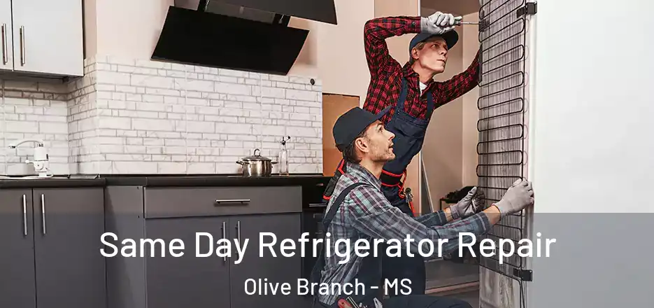 Same Day Refrigerator Repair Olive Branch - MS