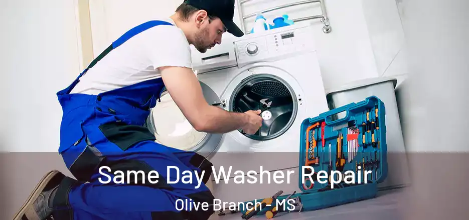  Same Day Washer Repair Olive Branch - MS