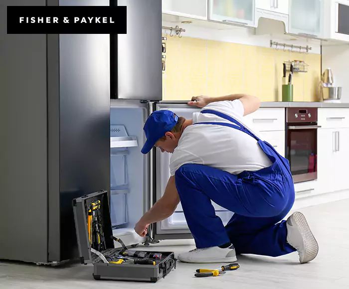 Top-Rated Fisher & Paykel Appliance Experts: Your Brand Specialist in Olive Branch, MS
