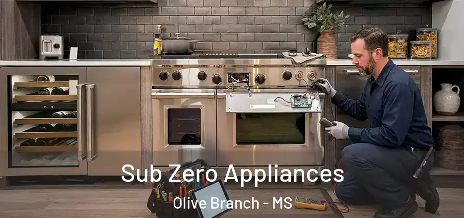  Sub Zero Appliances Olive Branch - MS