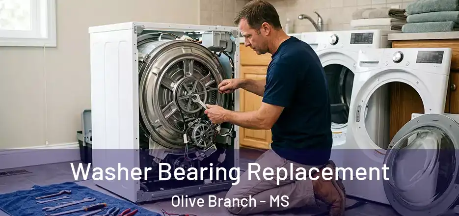  Washer Bearing Replacement Olive Branch - MS